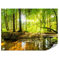 FOTOTAPETE für Wohnzimmer Waldlandschaft Bäume Blätter Frühling Grün 200x140 - Gelb/Orange, Papier (200/140cm) - Muralo