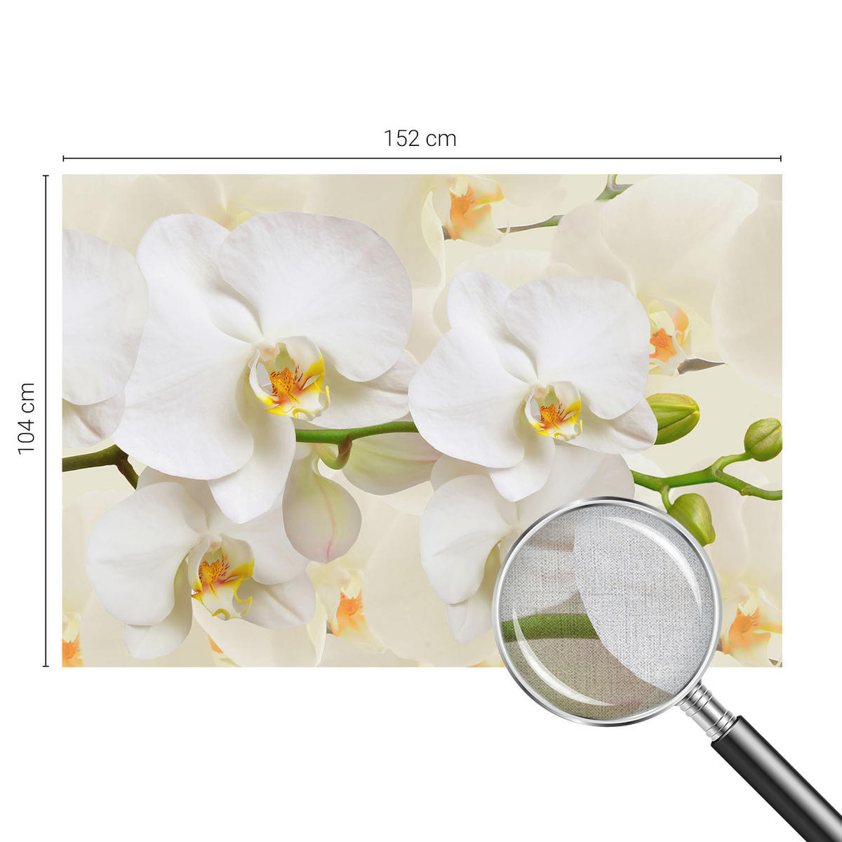 FOTOTAPETE 152x104 cm - Blütenreichtum - Schwarz, Textil (152/104cm) - Wallfluent