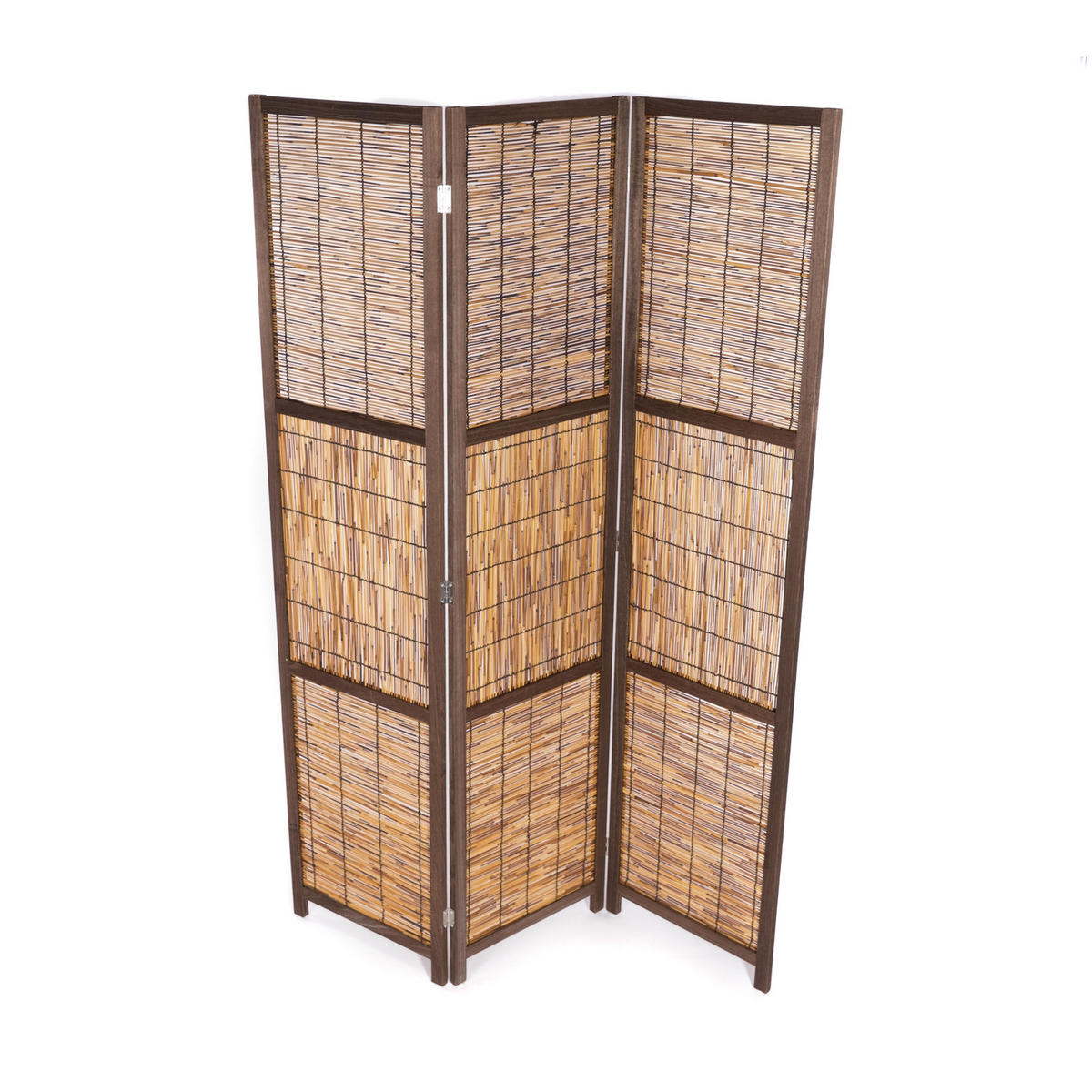 RAUMTEILER Cala 3-tlg. Schilfrohr - Naturfarben, Holz (120/170/2cm) - CREEDWOOD
