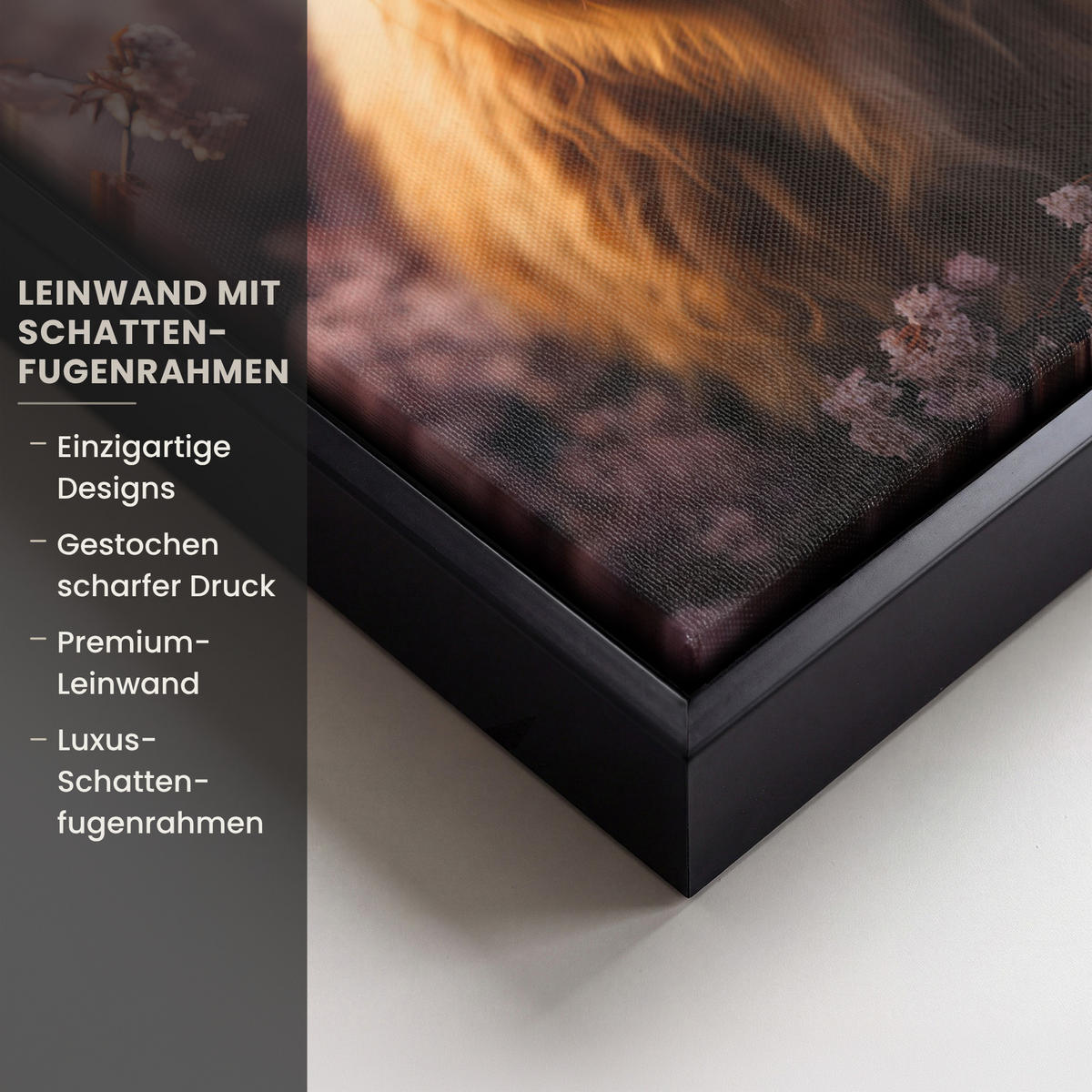 LEINWAND Bilder mit Rahmen - Schottischer Hochländer - Frühling - Hochland - 20x30 - Hellrosa, Textil (20/30cm) - MuchoWow