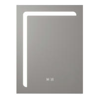 BADEZIMMERSPIEGEL Chambave - Silberfarben, Glas/Metall (45/60/3cm) - pro.tec