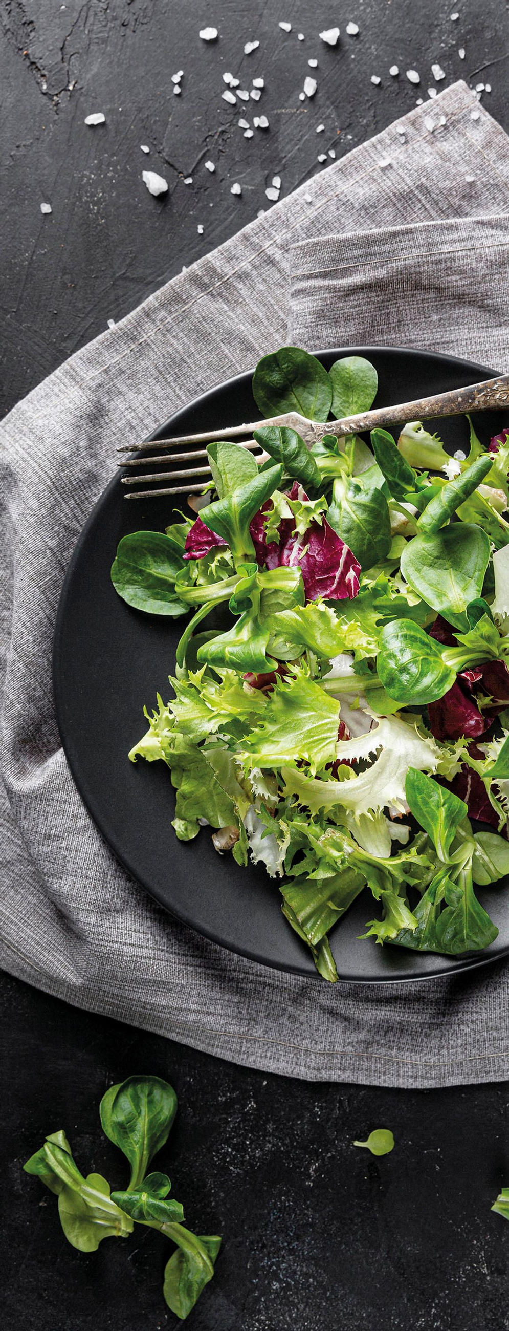 GLASBILD 30x80 cm Küche Salat grün - Anthrazit, Glas (30/80cm) - artissimo