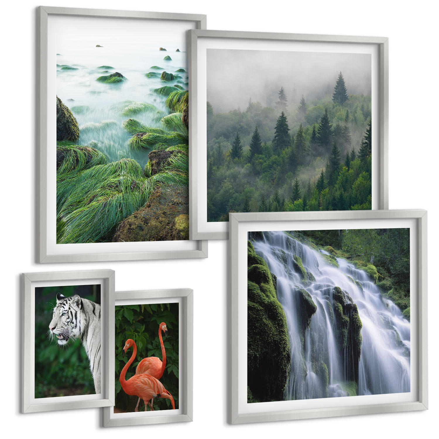 BILDER SET 5er Set - 50x50 cm & 20x30 cm & 40x60 cm Silberner Rahmen - Tiger Wasserfall Flamingos Natur - Silberfarben, Kunststoff (40/60cm) - TULUP