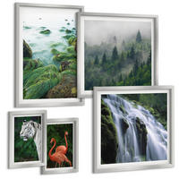 BILDER SET 5er Set - 50x50 cm & 20x30 cm & 40x60 cm Silberner Rahmen - Tiger Wasserfall Flamingos Natur - Silberfarben, Kunststoff (40/60cm) - TULUP