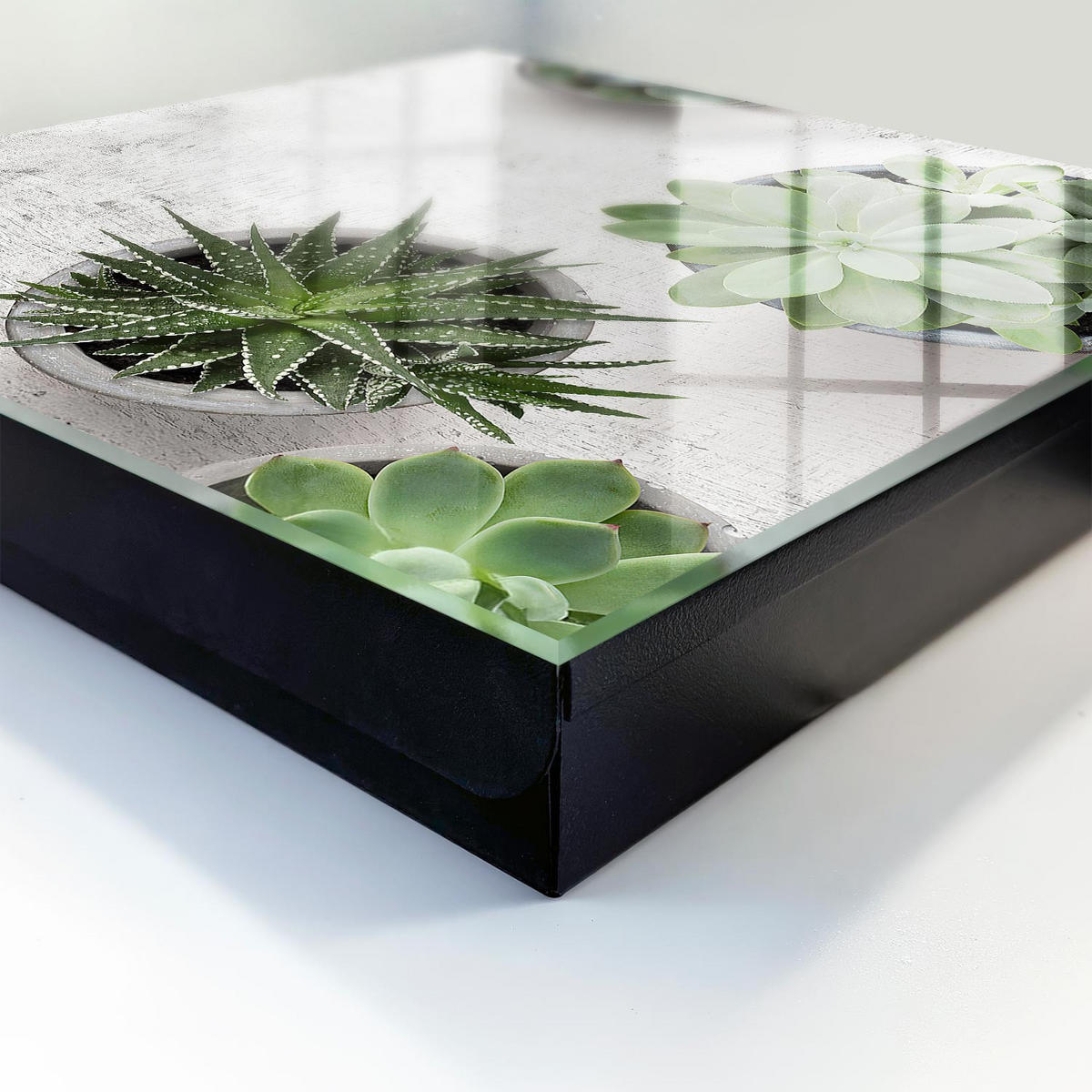 SCHLÜSSELBOX Schwarz 30x30 cm- Türöffnung nach rechts - Grüne Sukkulenten - Grün, Metall (30/30/5cm) - TULUP