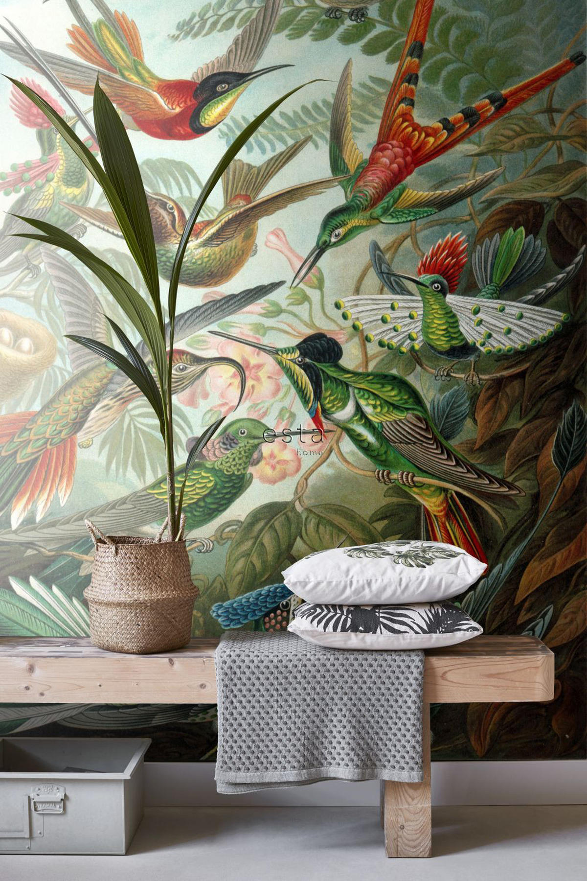 FOTOTAPETE Vögel 200 x 279 cm - Grün, Papier (200/279cm) - ESTAhome