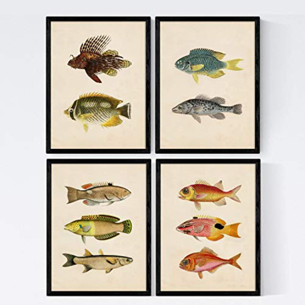 POSTER Set mit 4 Kara 10 verschiedenen Fischen A4 Schwarzer Rahmen - Schwarz, Papier (29.7/3cm) - Nacnic