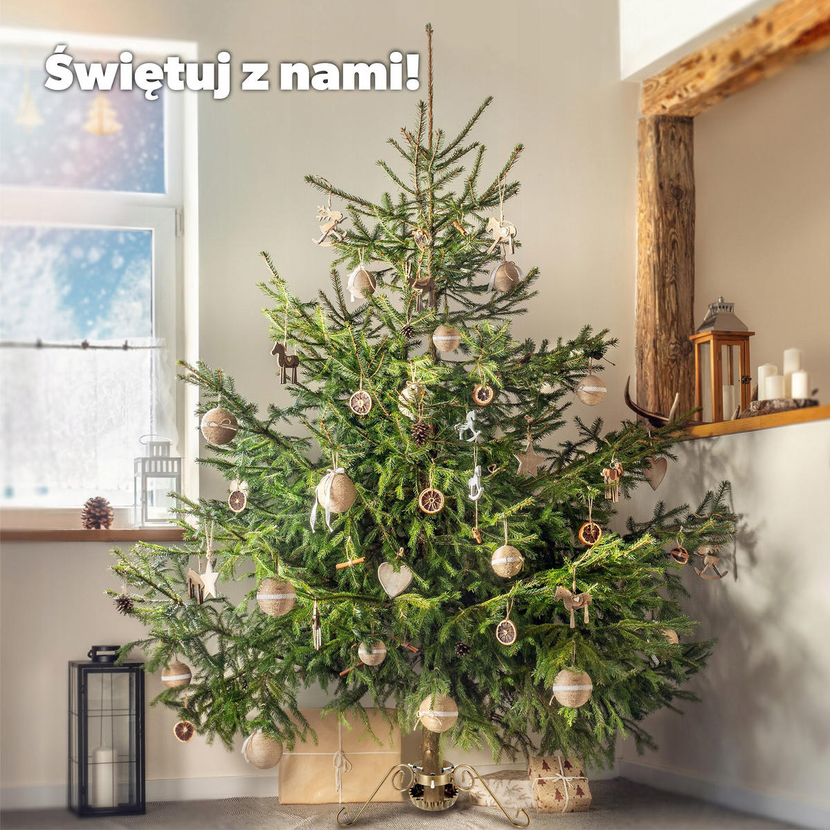 KADAX Weihnachtsbaumständer Weihnachtsbaumständer - Grün, Metall (18cm) - KADAX