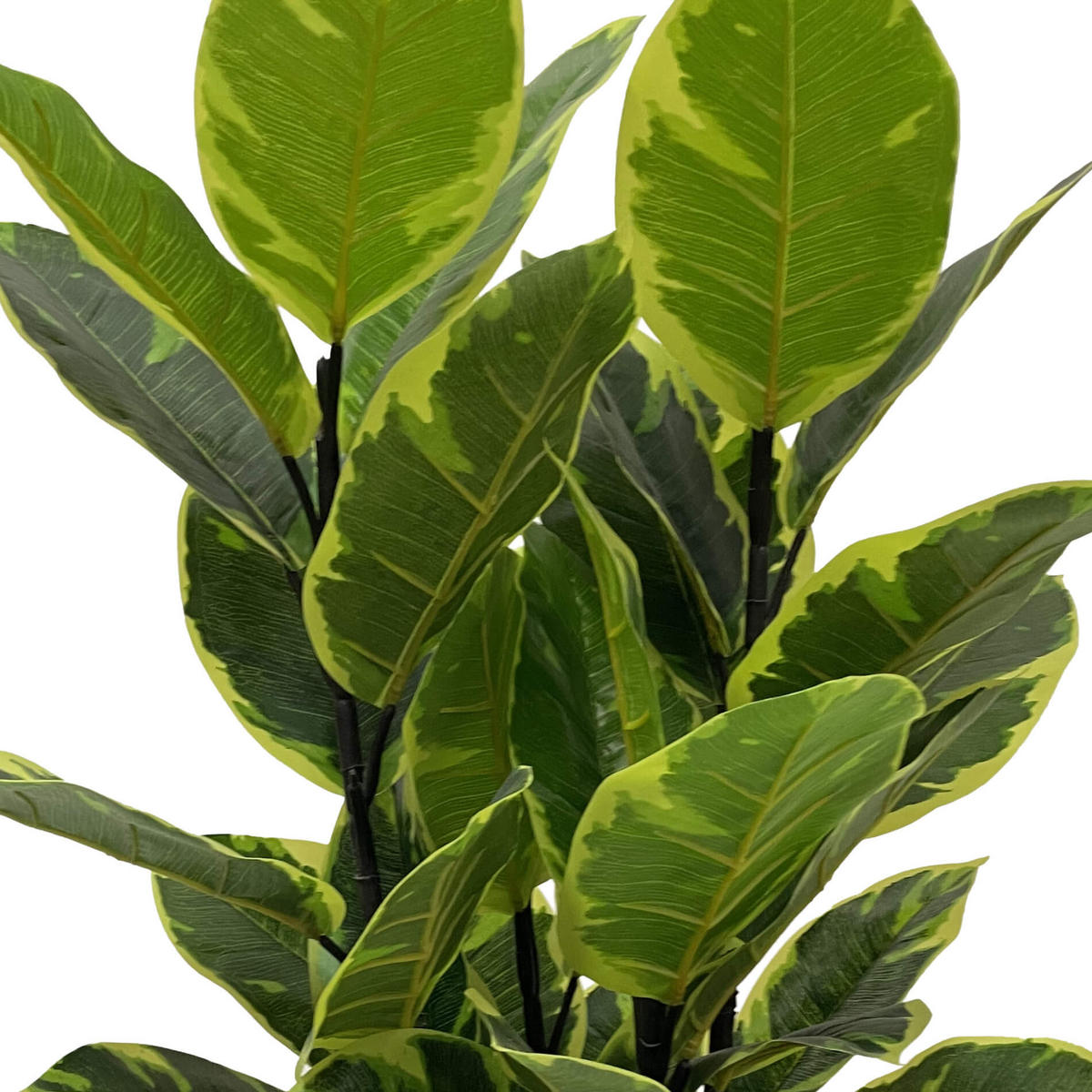 KUNSTPFLANZE Indischer Feigenbaum 90 cm - Grün, Kunststoff (90cm)
