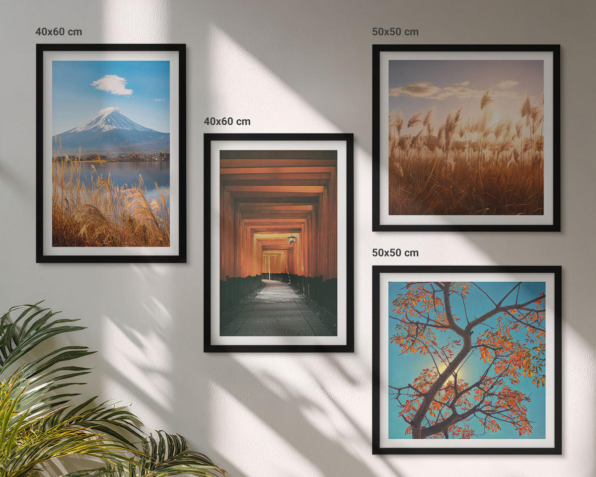 BILDER SET 4er Set - 50x50 cm & 40x60 cm Schwarzer Rahmen - Japanische Naturlandschaften - Schwarz, Kunststoff (50/50cm) - TULUP