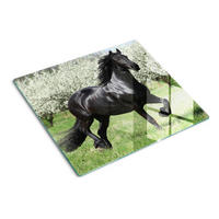 GLASPLATTE 60x52 cm Pferdeblumen - Schwarz, Glas (60/52cm) - TULUP