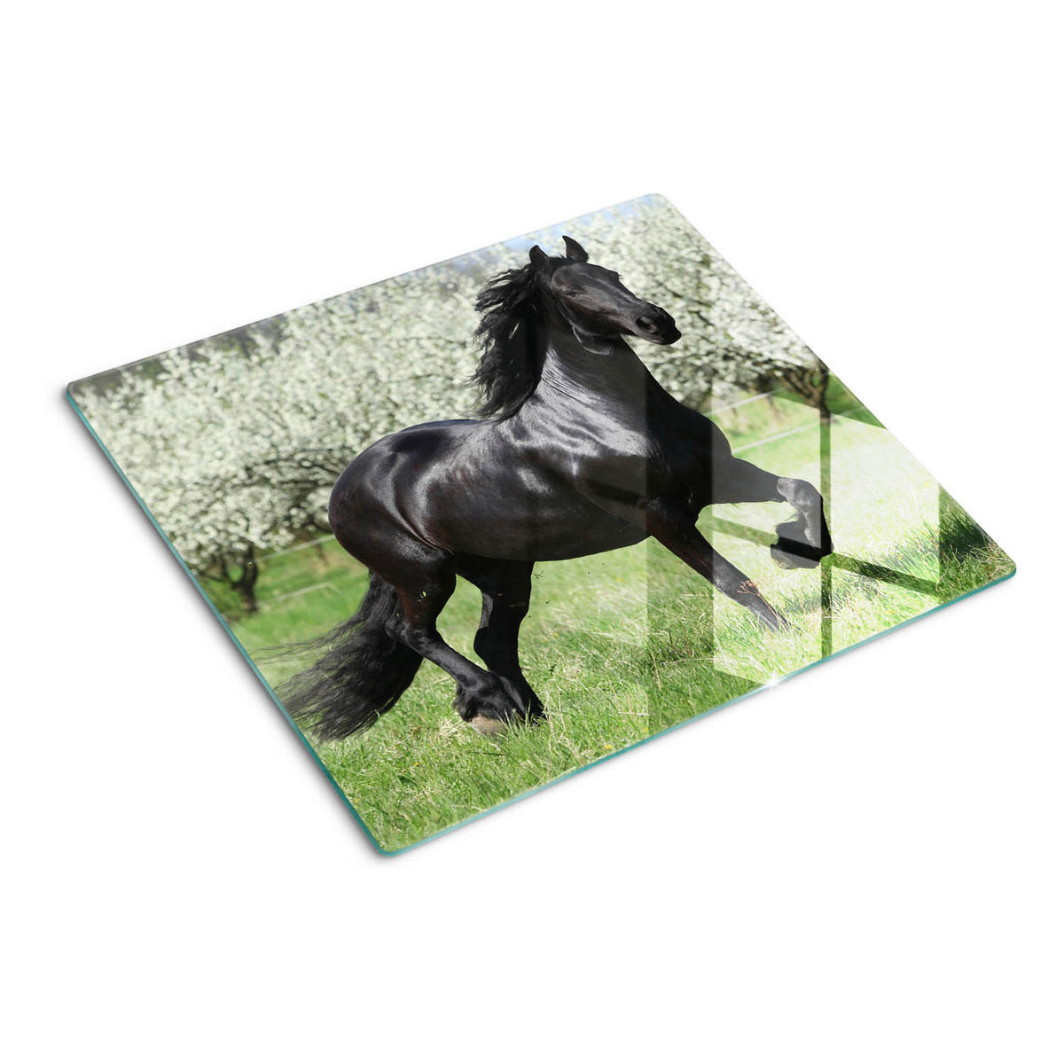 GLASPLATTE 60x52 cm Pferdeblumen - Schwarz, Glas (60/52cm) - TULUP