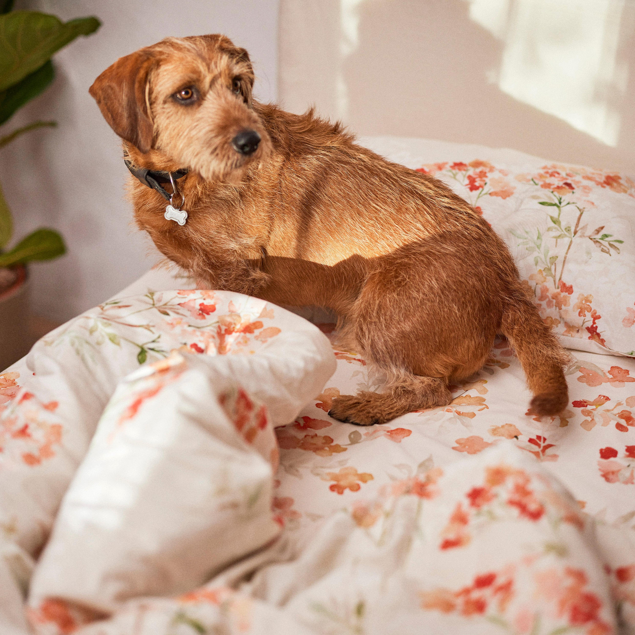 Thumbnail - Happy Friday Bettbezug, Mehrfarbig, Textil, Grafikmuster, 155x220 cm, Oeko-Tex®, Schlaftextilien, Bettwäsche, Bettwäsche