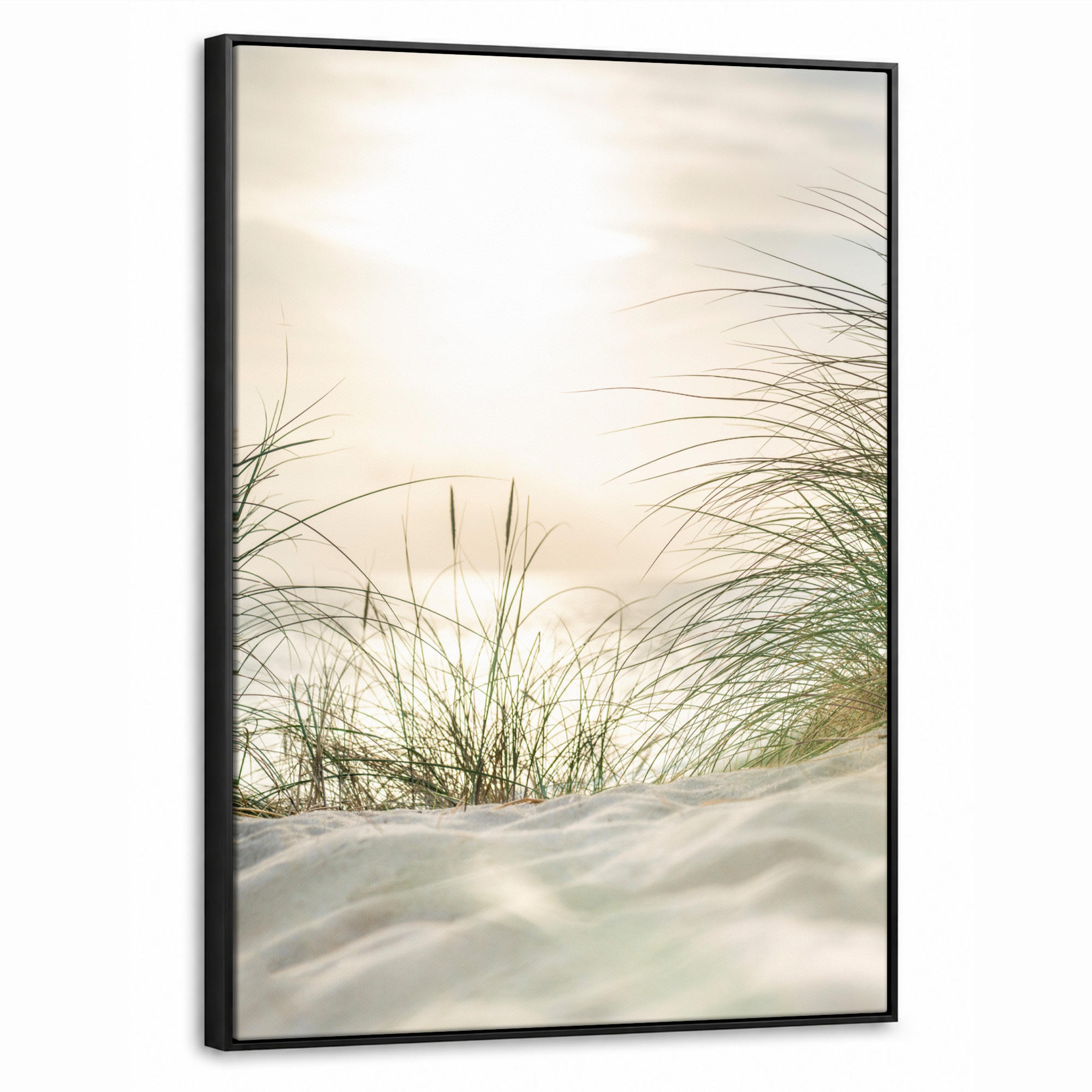 LEINWAND Bilder mit Rahmen - Dünen mit Strandhafer in der Sonne des Nationalparks Schleswig-Holsteinisches Wattenmeer - 50x70 - Creme, Textil (50/70cm) - MuchoWow