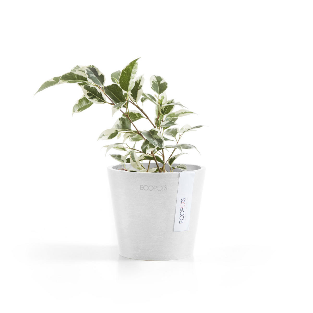 BLUMENTOPF Amsterdam 10,5/9,2 cm Weiß - Weiß, Kunststoff (10.5/9.2cm) - Ecopots