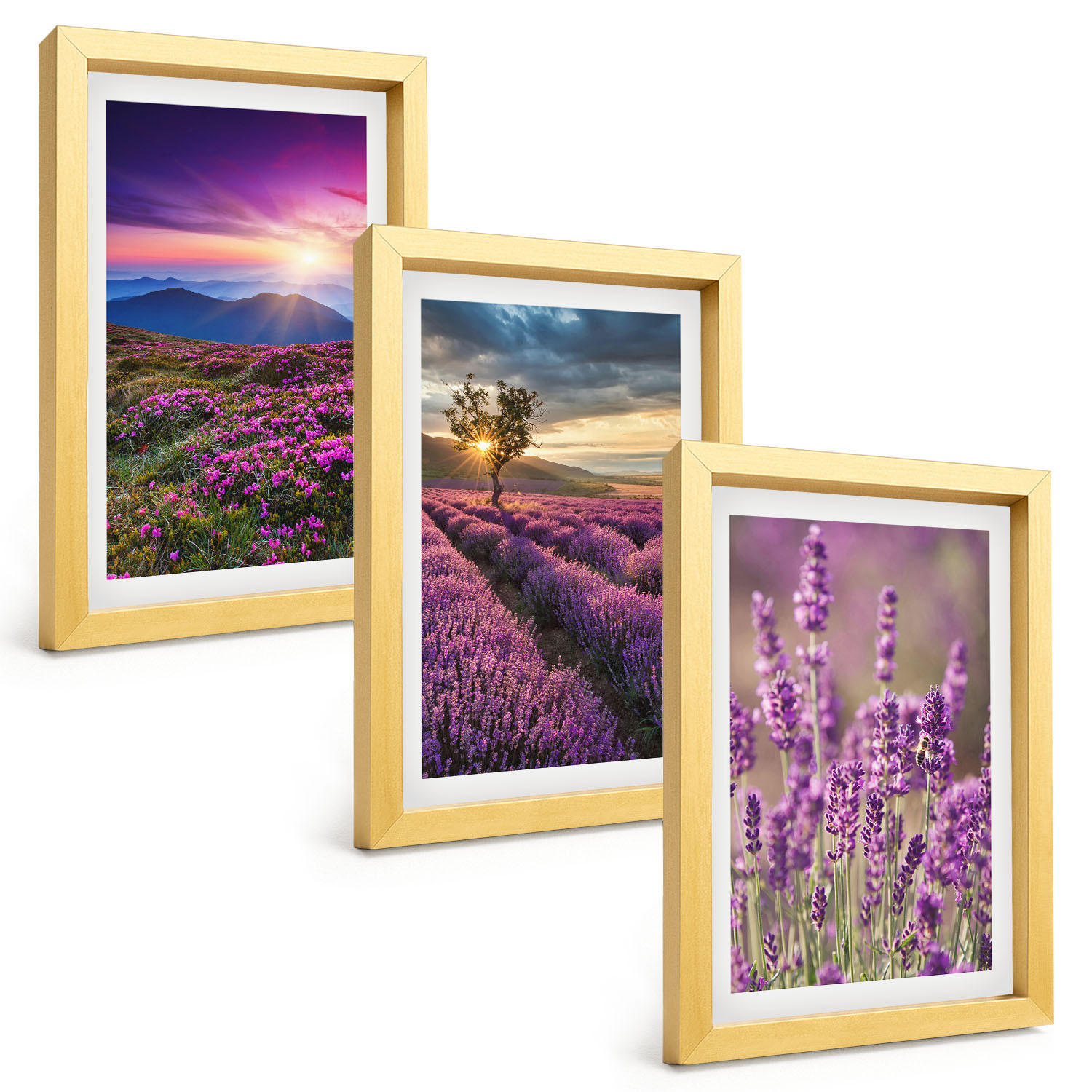 BILDER SET 3er Set - 20x30 cm Goldrahmen - Sonnenuntergang auf Lavendelfeldern - Goldfarben, Kunststoff (20/30cm) - TULUP