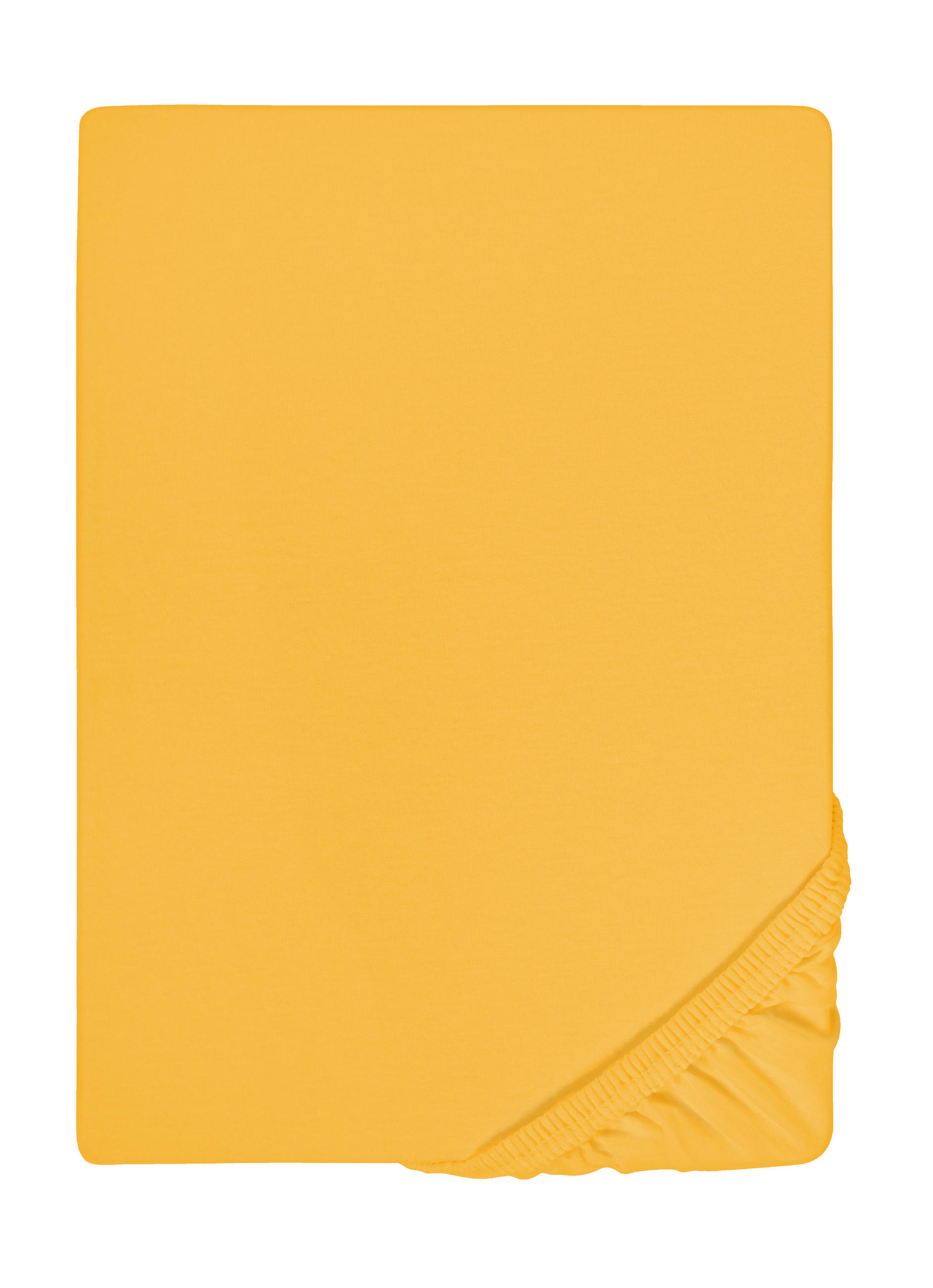 biberna Spannbetttuch Bernstein 200x200 cm