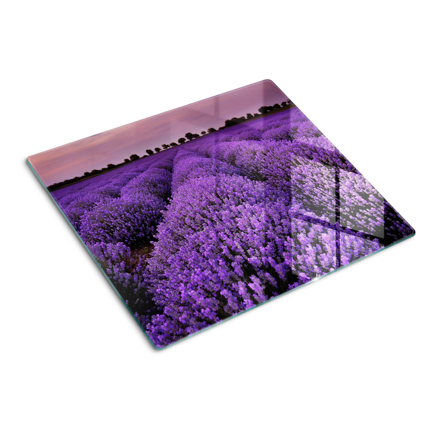 GLASPLATTE 60x52 cm Lavendelfeld - Lila, Glas (60/0.4/52cm) - TULUP