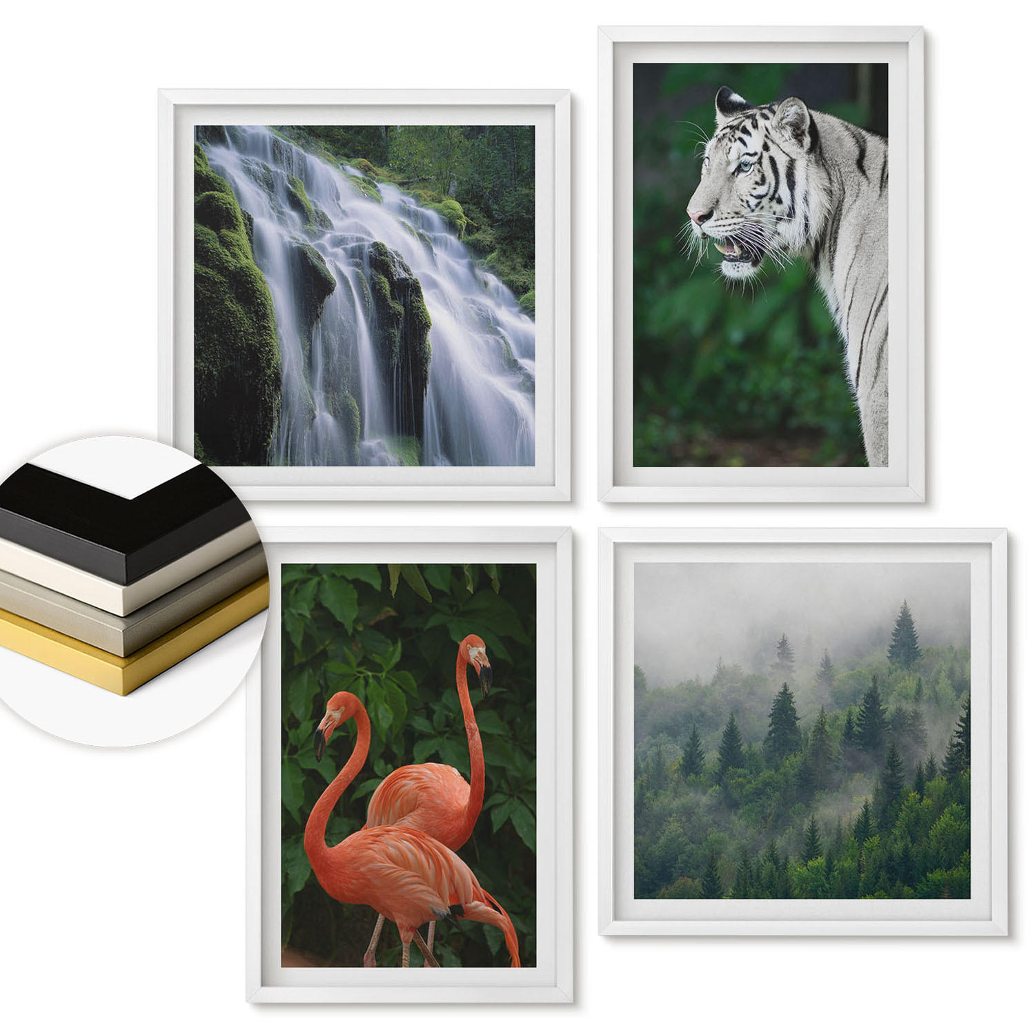 WANDBILDER 4er-Set - 50x50 cm & 40x60 cm Weißer Rahmen - Tiger Wasserfall Flamingos Natur - Weiß, Kunststoff (50/50cm) - ArtPrintCave