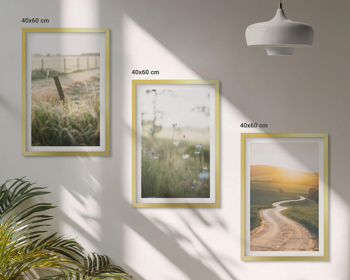 BILDER SET 3er Set - 40x60 cm Goldrahmen - Landschaftswiesenstraße West - Goldfarben, Kunststoff (40/60cm) - TULUP