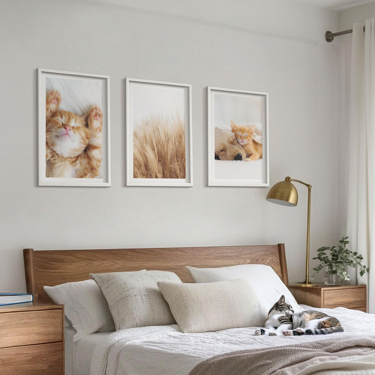 BILDER SET 3er Set - 40x60 cm Weißer Rahmen - Niedliche Tiere, Katzen, Hunde, Boho-Stil - Weiß, Kunststoff (40/60cm) - TULUP
