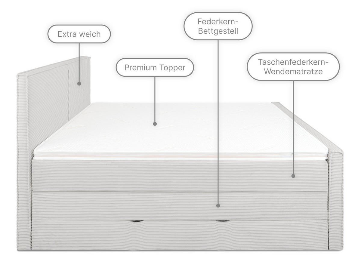 BOXSPRINGBETT Buffalo Grau 160/200 cm H3/H4 Cord - Grau, Textil (160/200cm) - wonello