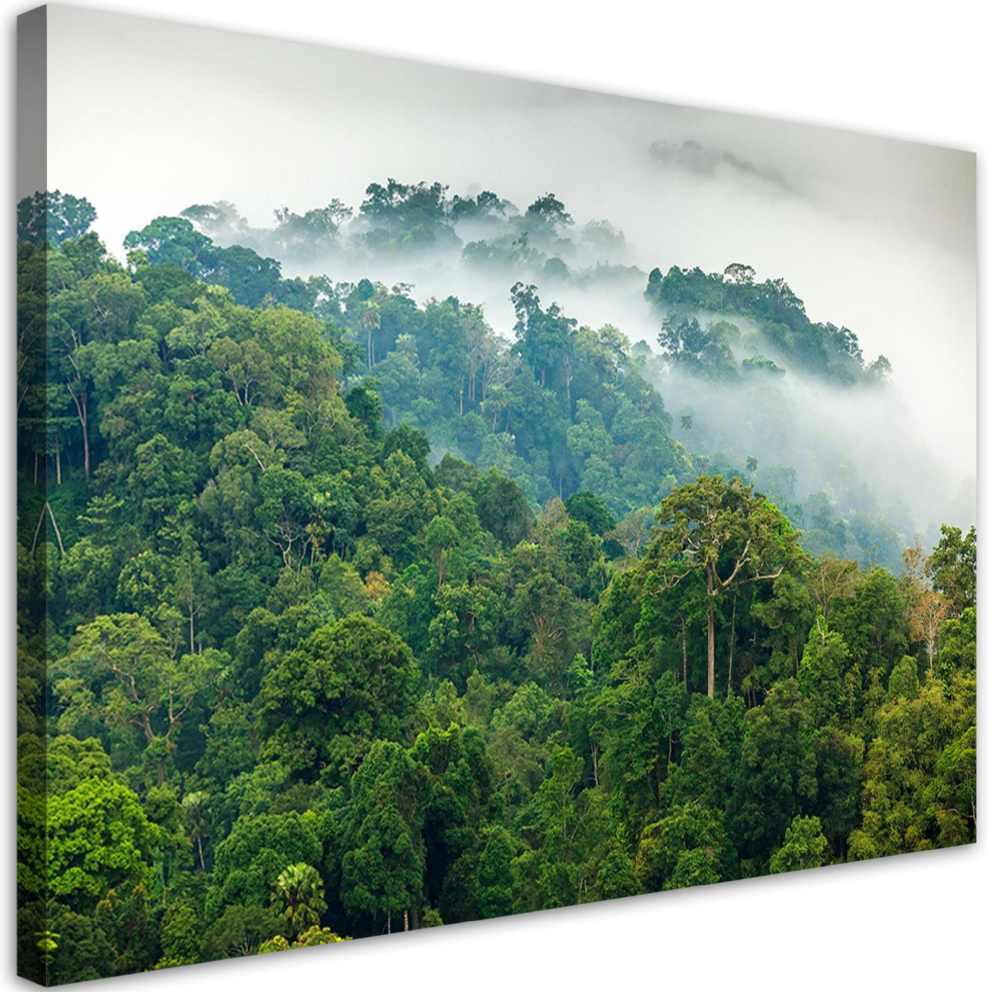 BILD Wald im Nebel Landschaft 90x60cm - Grün, Textil (90/60cm) - Feeby