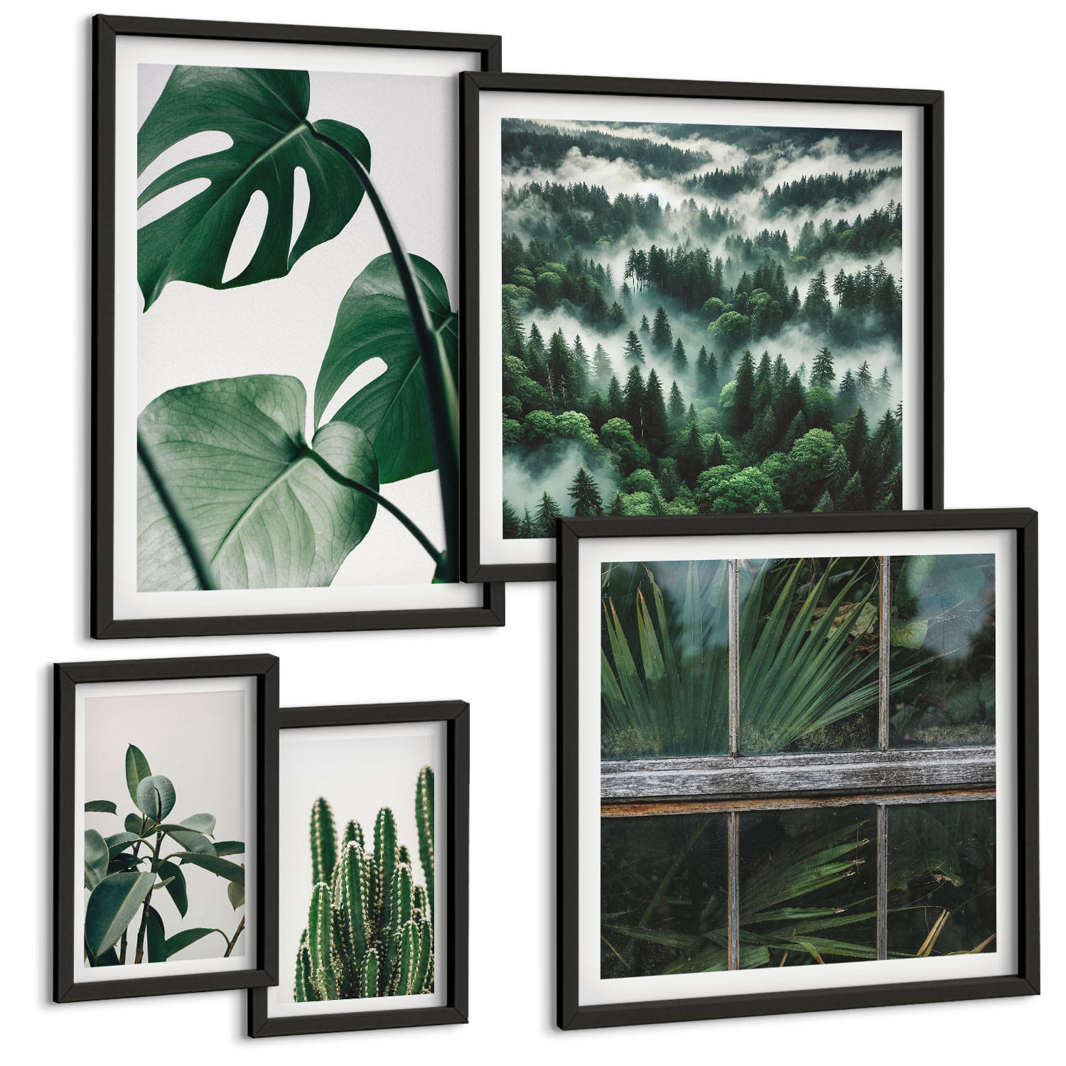 BILDER SET 5er Set - 50x50 cm & 20x30 cm & 40x60 cm Schwarzer Rahmen - Ästhetik tropischer Pflanzen - Schwarz, Kunststoff (40/60cm) - TULUP