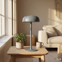 AKKU-TISCHLEUCHTE - Eisen - Grau - Grau, Metall (14/14/30cm) - home24