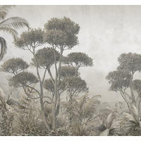 FOTOTAPETE Dschungelmuster 300 x 279 cm - Grün, Papier (300/279cm) - Sanders & Sanders