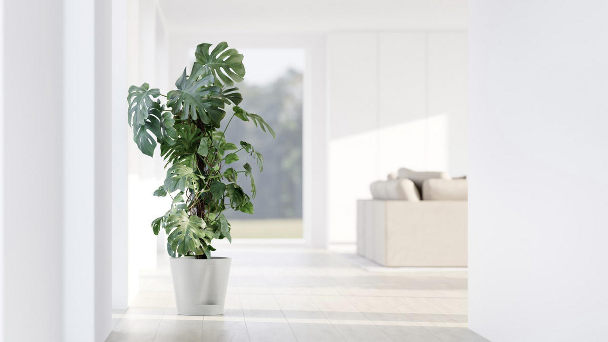 BLUMENTOPF Venice 30/27,5 cm Weiß - Weiß, Kunststoff (30/27.5cm) - Ecopots