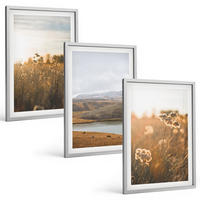 BILDER SET 3er Set - 40x60 cm Silberner Rahmen - Landschaften Wiesen Berge See - Silberfarben, Kunststoff (40/60cm) - TULUP