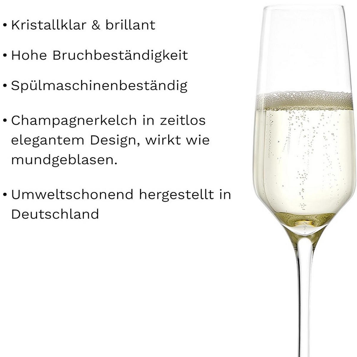 SEKTKELCH Experience 188 ml 6er Set - Transparent, Glas (0.188L) - Stölzle