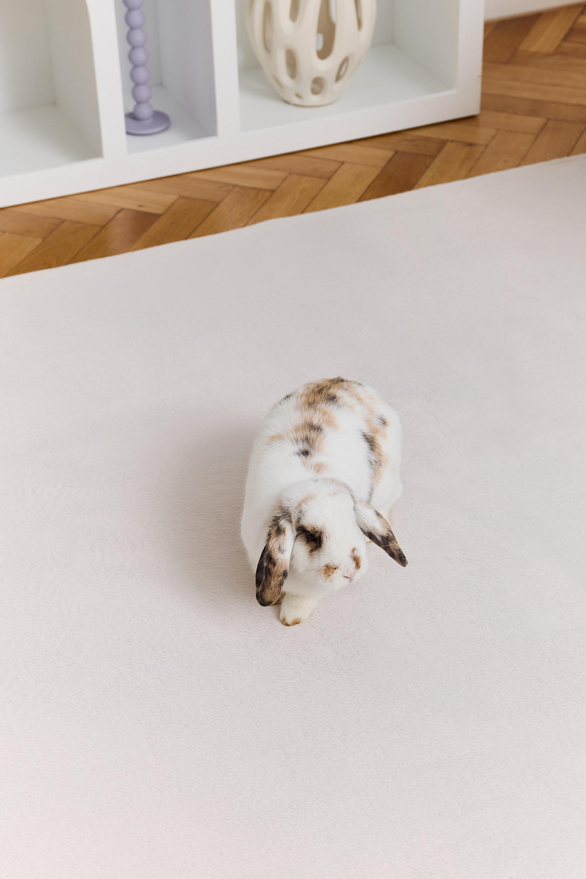 KURZFLORTEPPICH LUMI creme kuschelweich waschbar 80/150 cm - Creme, Textil (80/150cm) - Tapiso