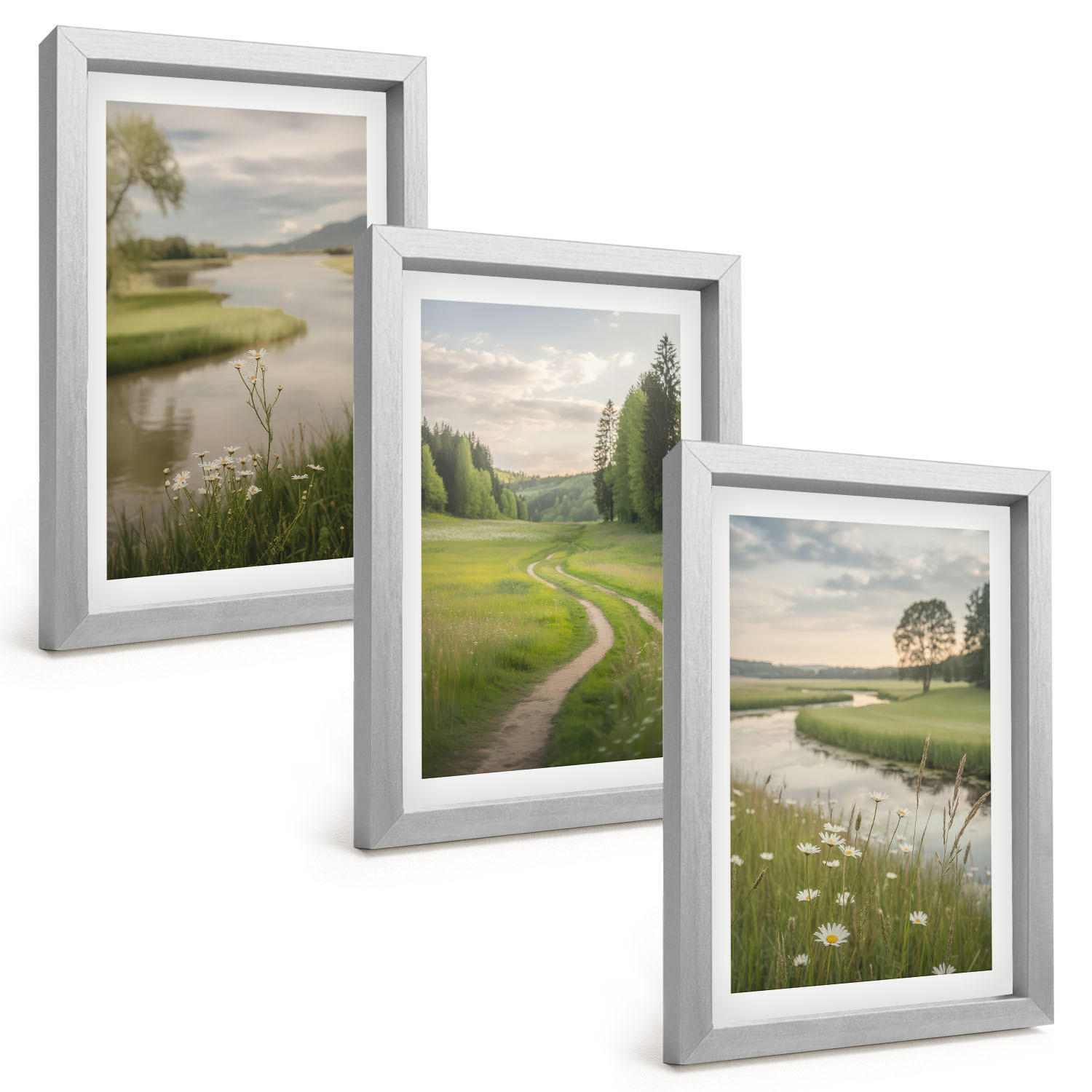 BILDER SET 3er Set - 20x30 cm Silberner Rahmen - Sommerliche Flusswiesen voller Blumen - Silberfarben, Kunststoff (20/30cm) - TULUP