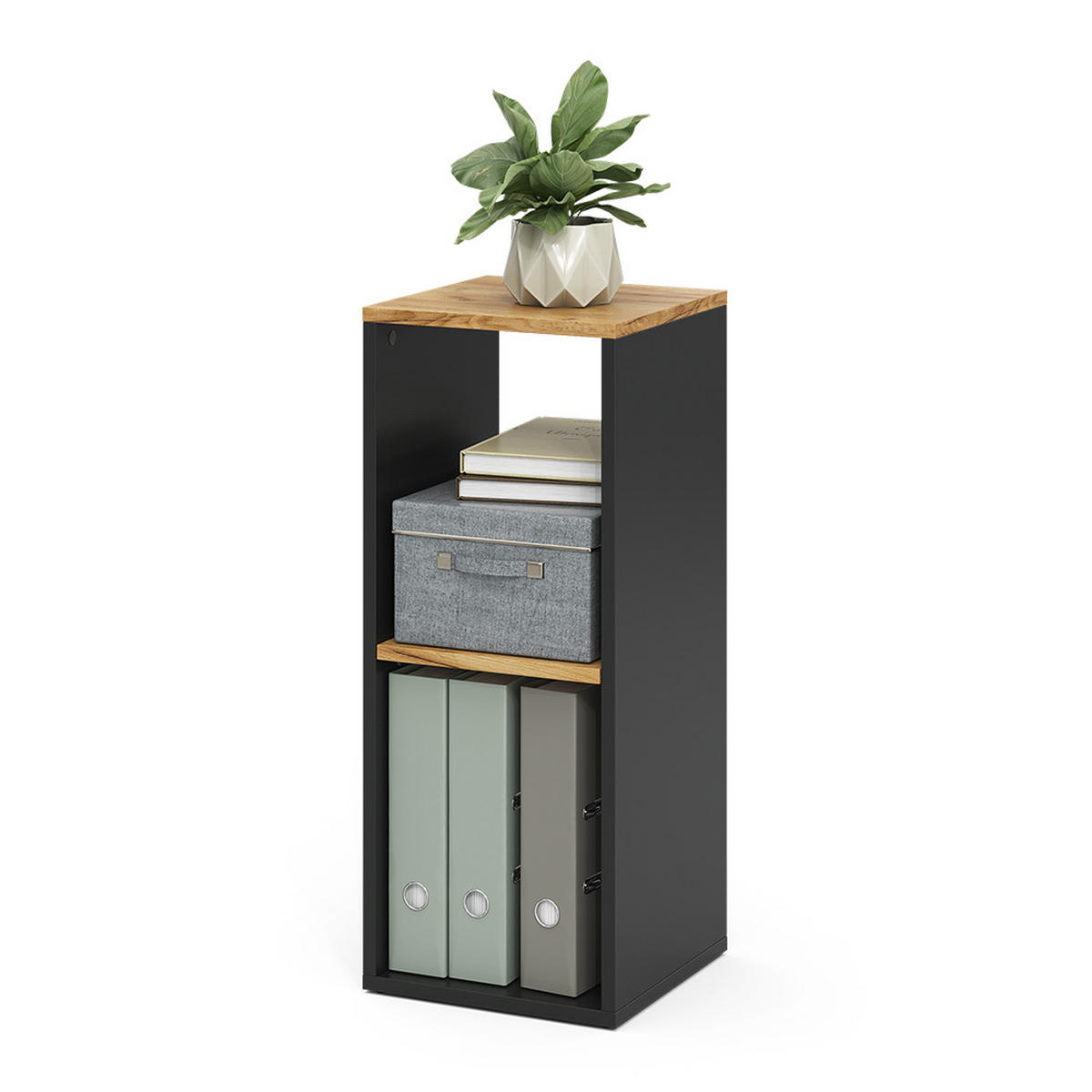 BÜCHERREGAL Tomy Anthrazit/Goldkraft Eiche 30 x 74 cm mit 2 offenen Fächern - Honigeiche/Anthrazit, Holzwerkstoff (30/74/30cm) - Vicco