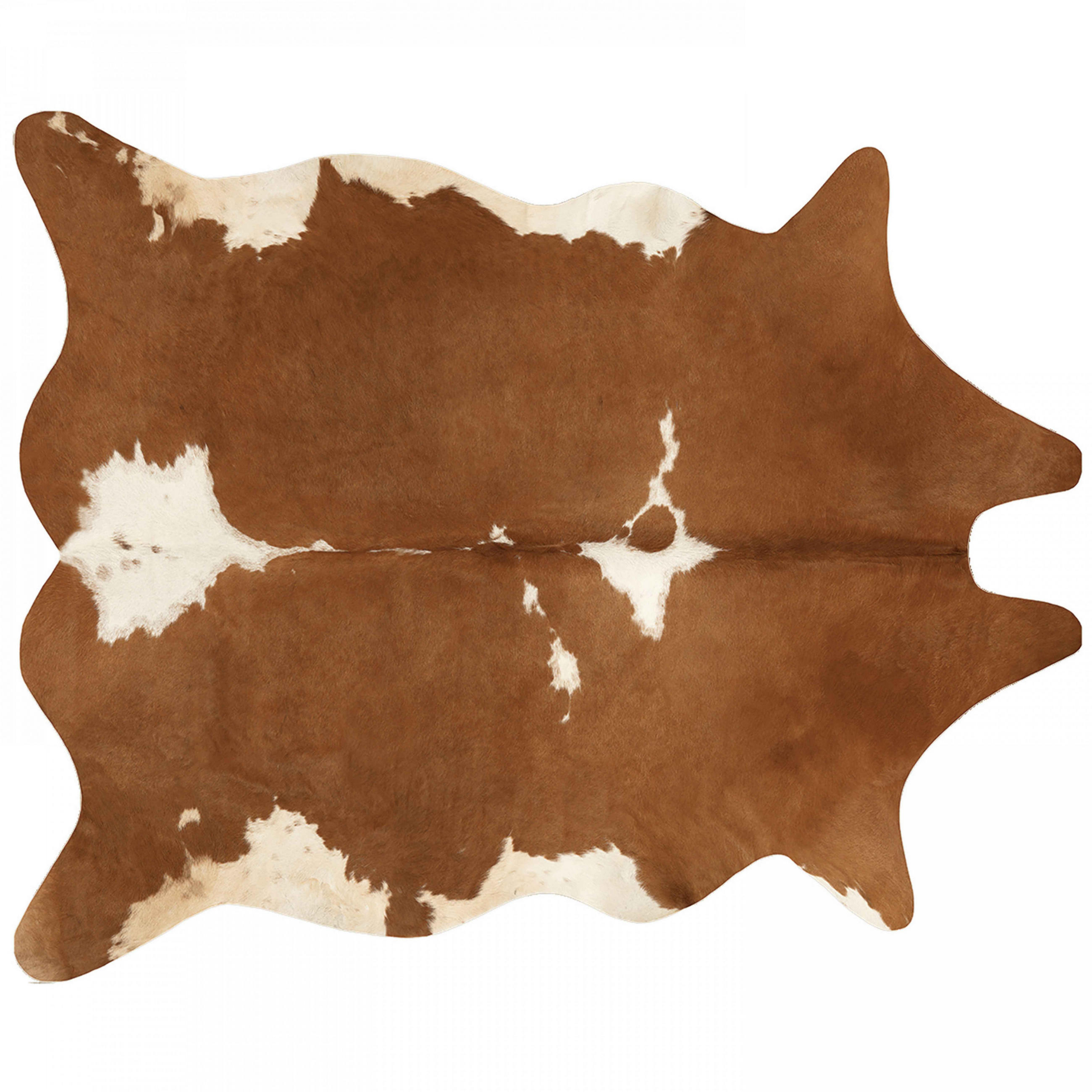 TEPPICH, 155 x 190 cm, Braun - Braun, Textil (155/190cm) - Oviala