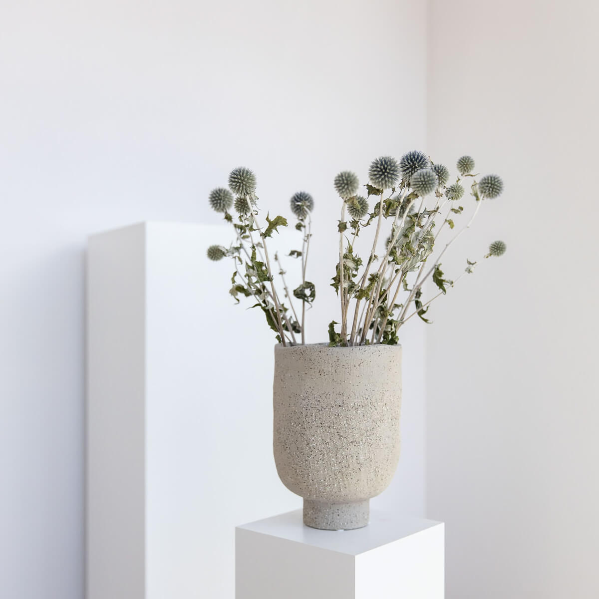 KUGELDISTEL - Echinopsis - blau / 60 cm - Blau, Naturmaterialien (60cm) - Lykke & You