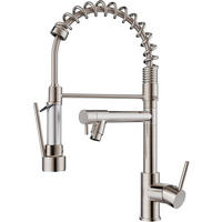 KÜCHENARMATUR Gebürstetes Nickel Federauslauf 2 Ausläufe - Silberfarben, Metall (3.8/47/21cm) - TVTIUO
