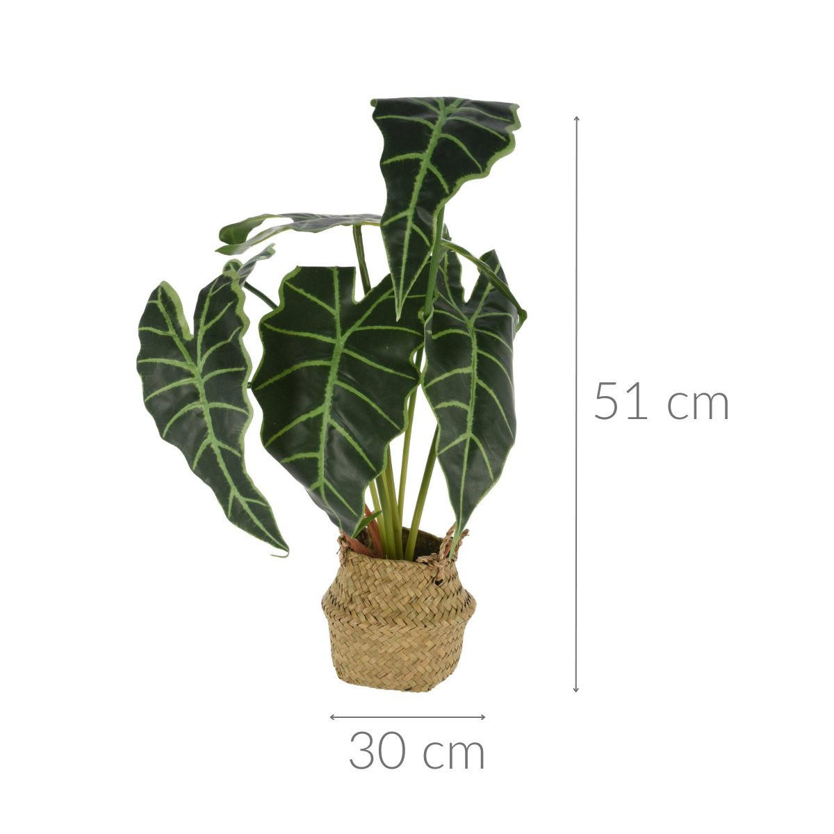 ALOKASIEN Kunstblume im Korb 30/30/51 cm - Grün, Kunststoff (51cm) - Home Styling Collection