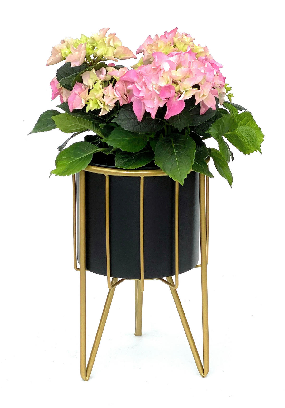 BLUMENHOCKER Rund mit Topf Metall Gold Schwarz 32 cm 96039 S - Goldfarben, Metall (19/32/19cm) - DanDiBo