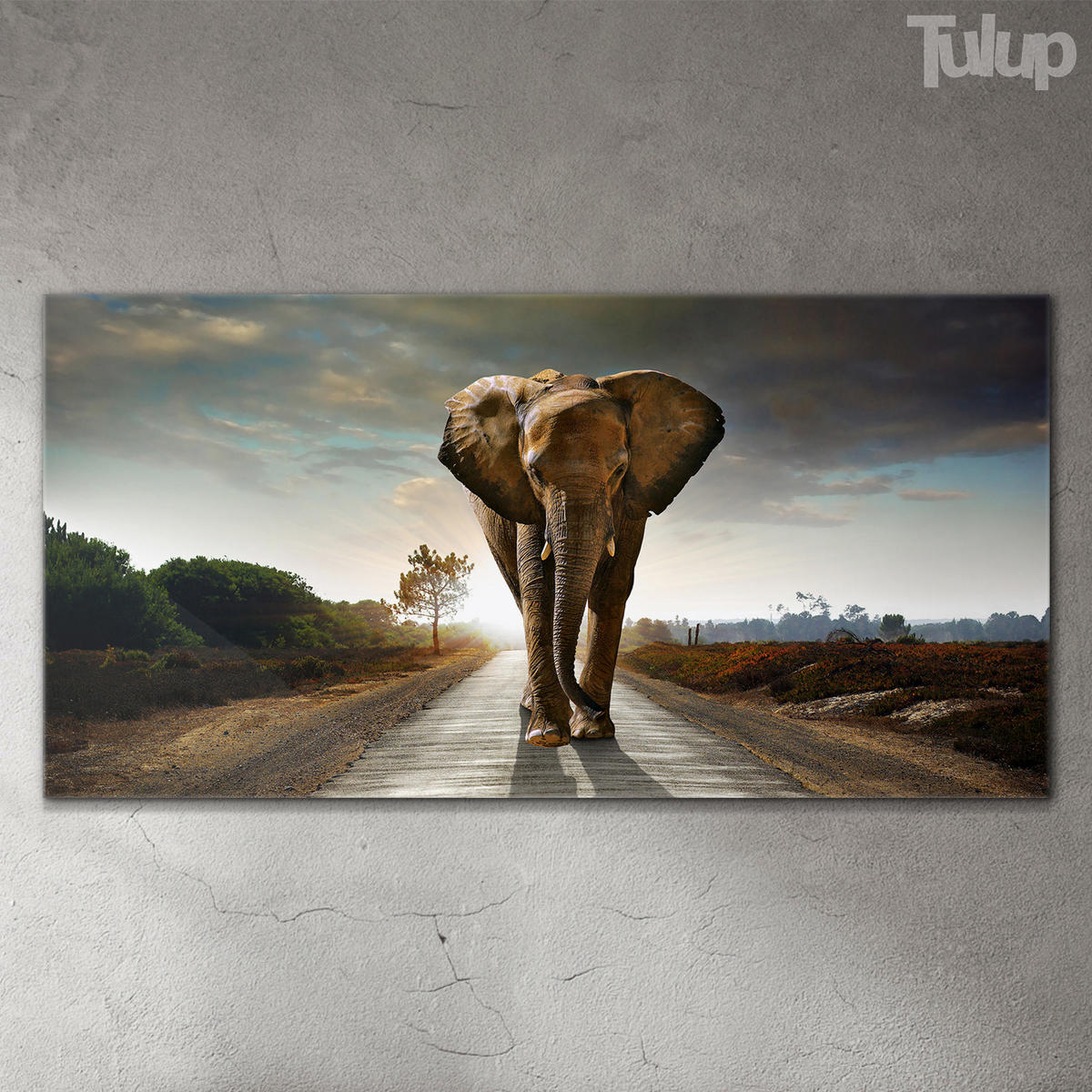 GLASBILD 120x60 cm Safari-Sonnenuntergang - Mokka, Glas (120/60cm) - TULUP