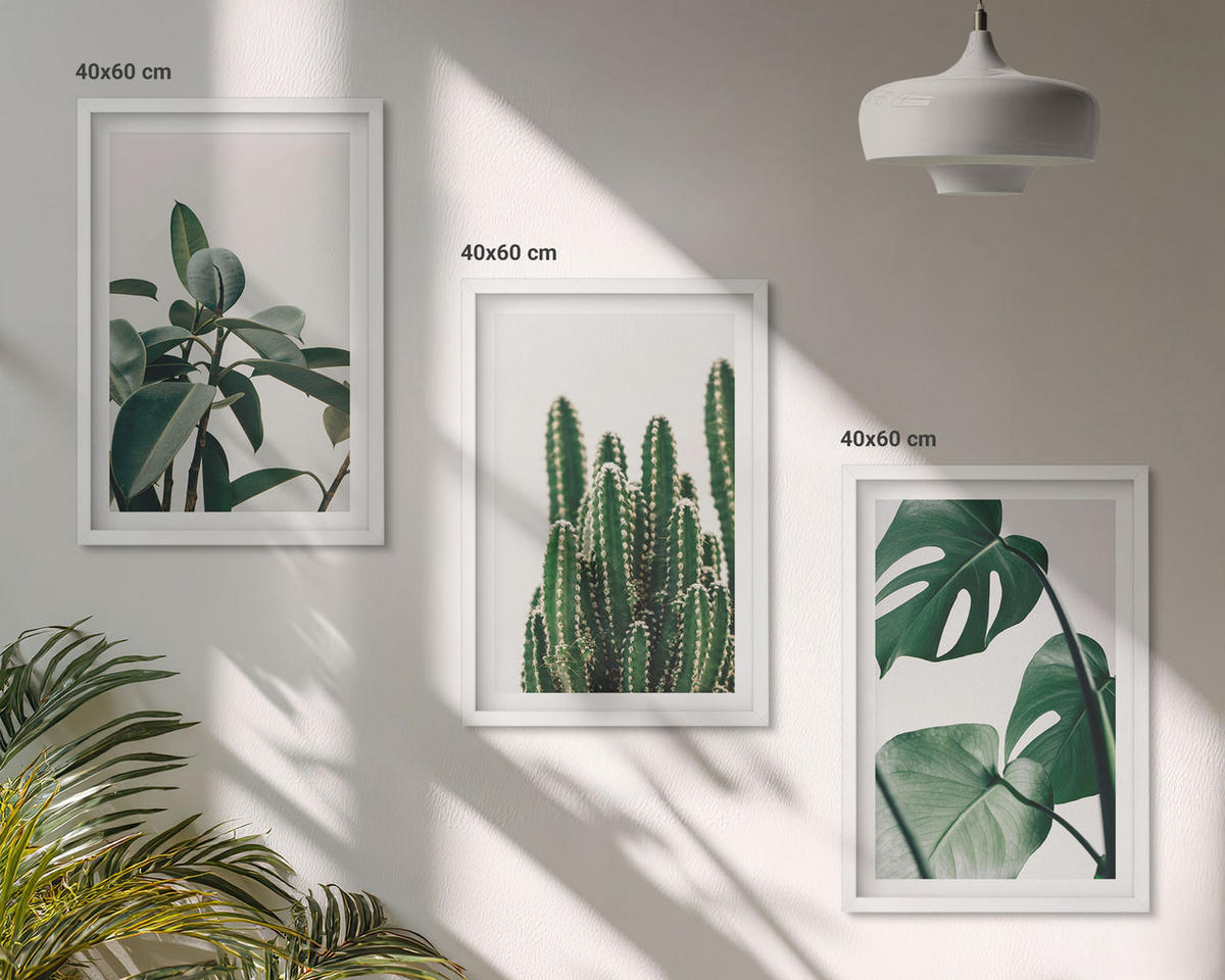 WANDBILDER 3er-Set - 40x60 cm Weißer Rahmen - Tropische ästhetische Pflanzen - Weiß, Kunststoff (40/60cm) - ArtPrintCave