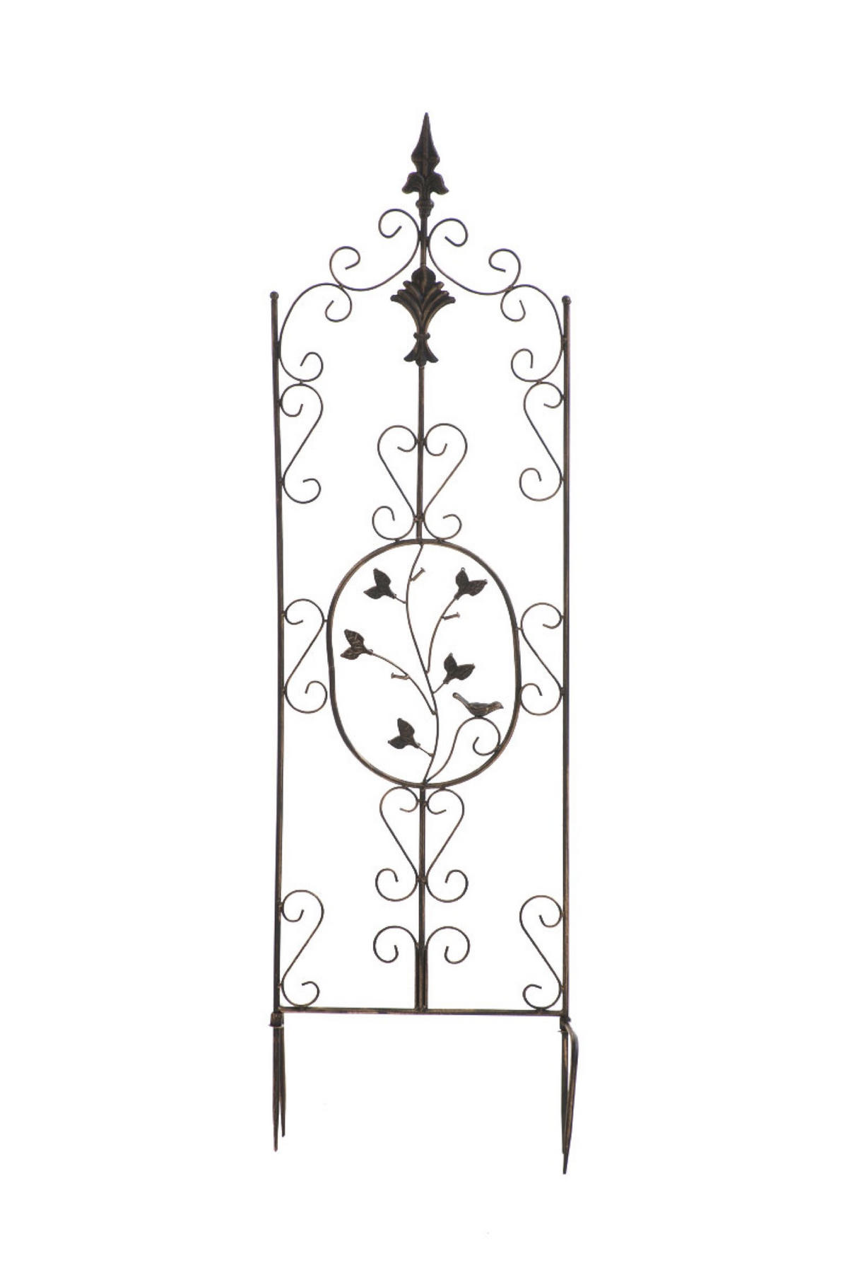 RANKGITTER Burk bronze - Braun, Metall (35/122/7cm) - TPFGarden