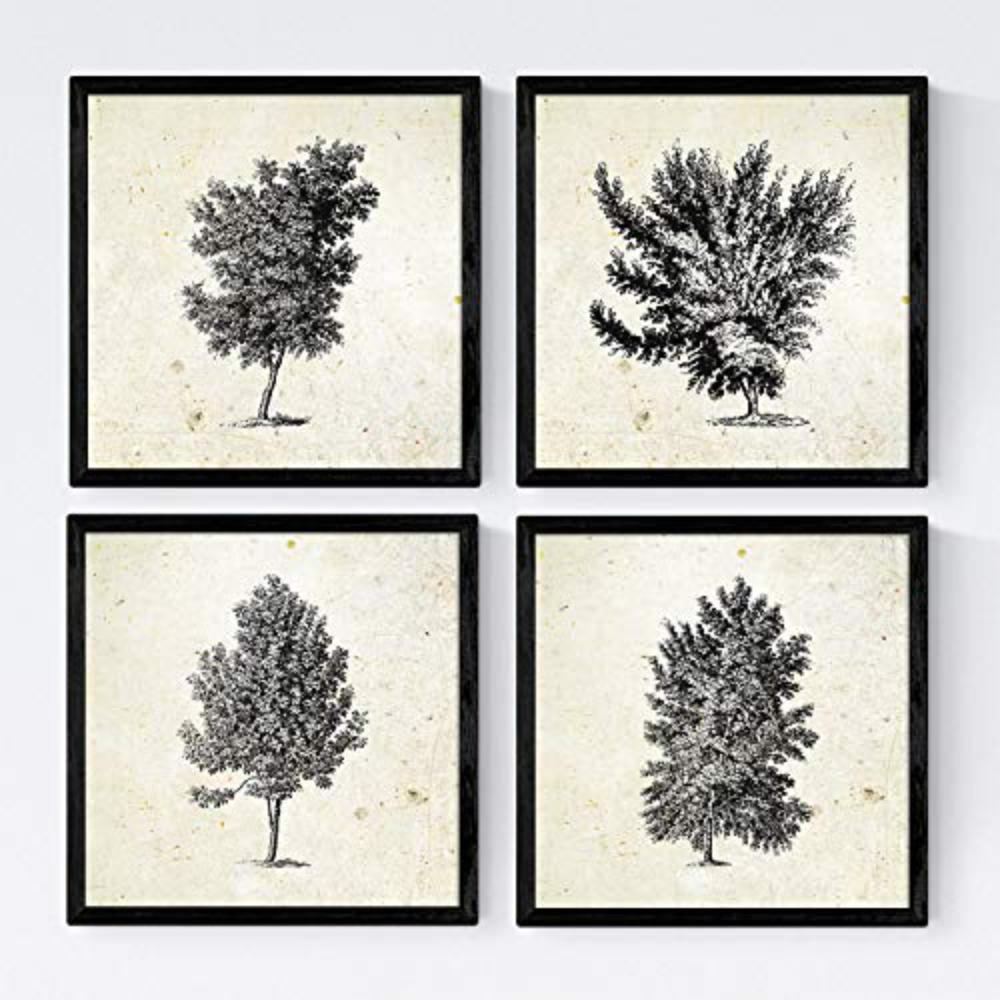 POSTER Set mit 4 Blättern der verschiedene Richtungen Jahrgang Hintergrund 30x30 cm Rahmenlos - Klar, Papier (30/3cm) - Nacnic