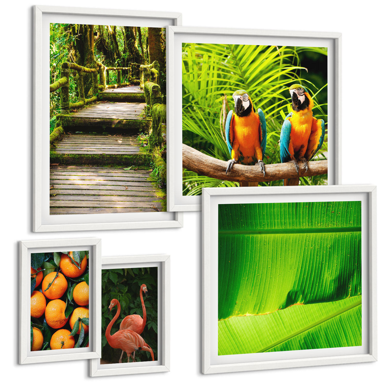BILDER SET 5er Set - 50x50 cm & 20x30 cm & 40x60 cm Weißer Rahmen - Fruchtige Akzente der Tropen - Weiß, Kunststoff (40/60cm) - TULUP