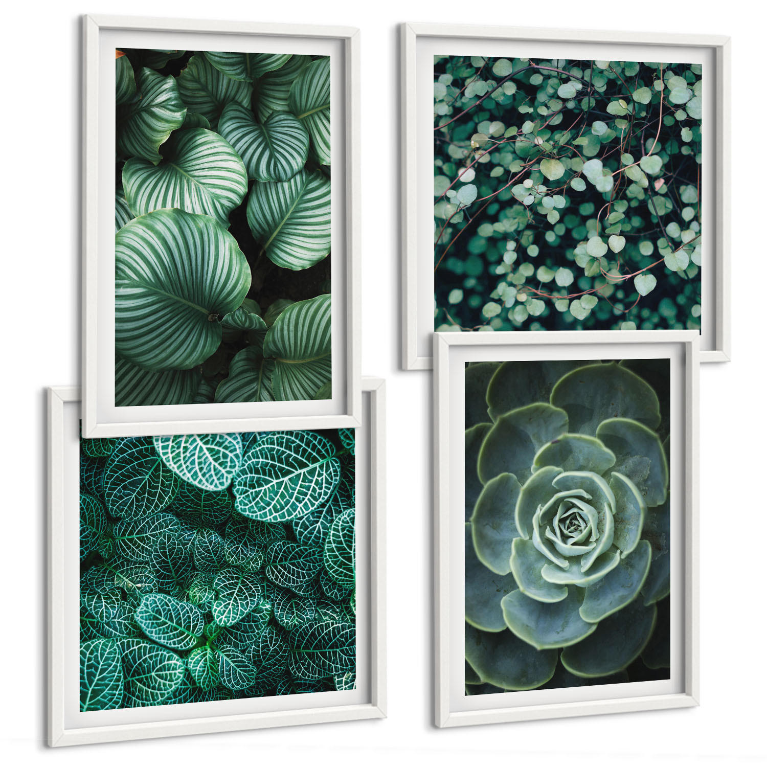 BILDER SET 4er Set - 50x50 cm & 40x60 cm Weißer Rahmen - Grüne, saftige Blätter - Weiß, Kunststoff (50/50cm) - TULUP