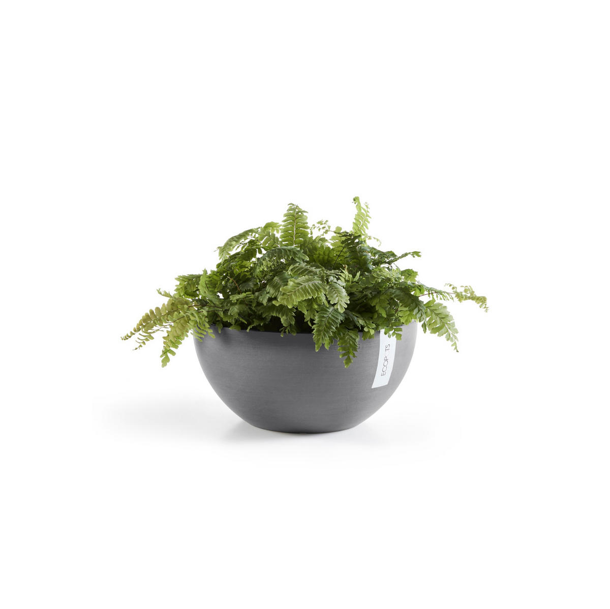 BLUMENTOPF Brussels 25/12 cm Grau - Grau, Kunststoff (25/12cm) - Ecopots