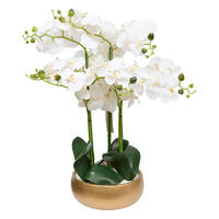 ORCHIDEE im goldenen Topf Sanae 60/25/65 cm - Weiß, Kunststoff (65cm) - Atmosphera Createur d´interieur