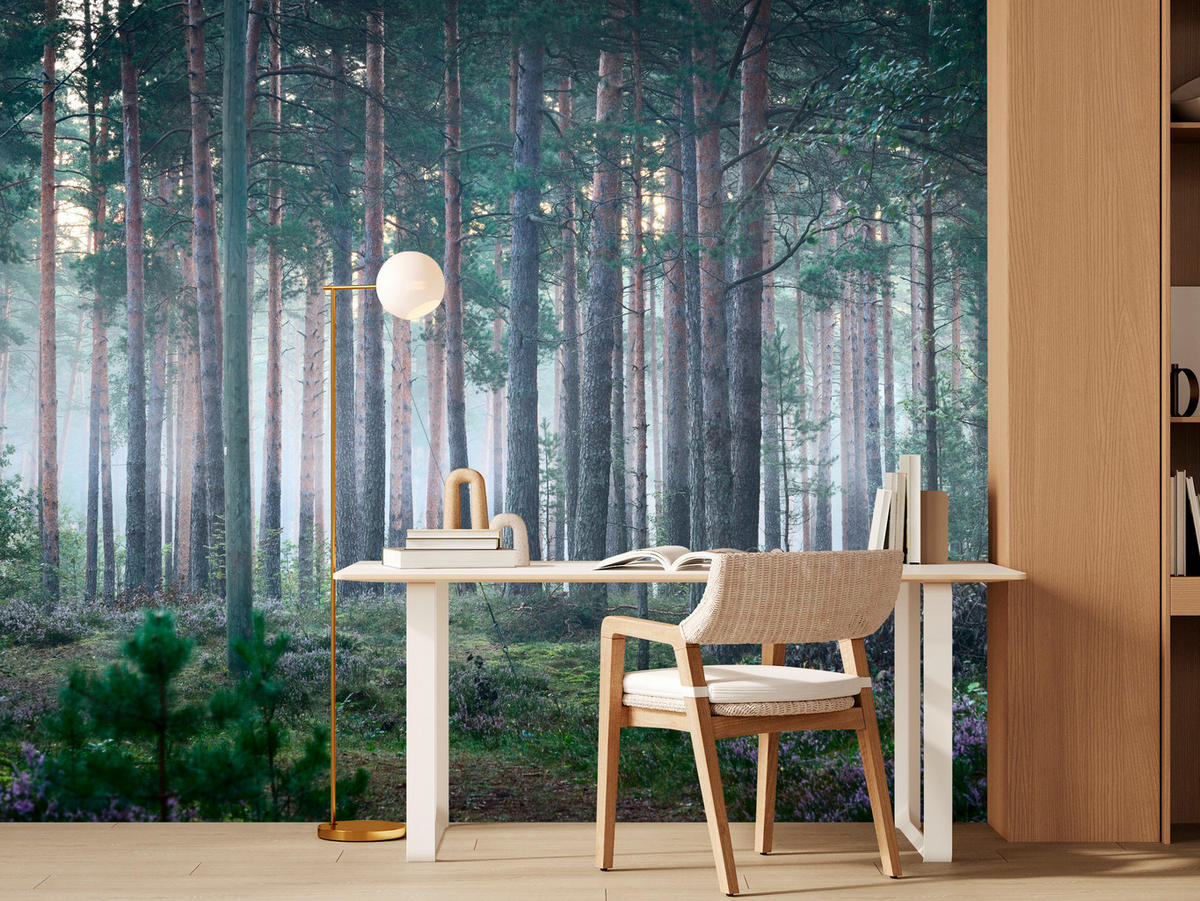 FOTOTAPETE für Wohnzimmer Nebelwald mit Bäumen Moos Grün 300x210 - Grau/Grün, Papier (300/210cm) - Muralo